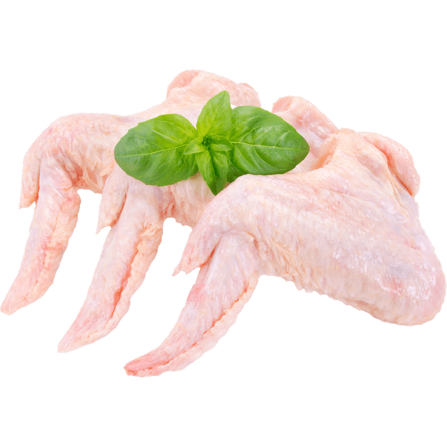 Ayam